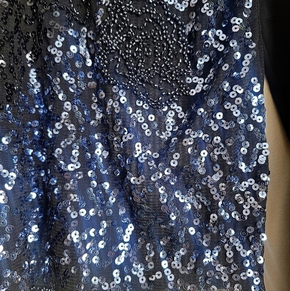 NWT Melanie Lyne Textured Sequins Chiffon Long Sleeve Top  Size Medium - Picture 6 of 13